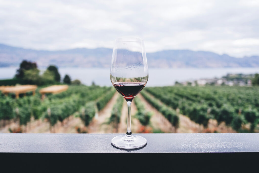 Vinhos desalcoolizados ou parcialmente desalcoolizados