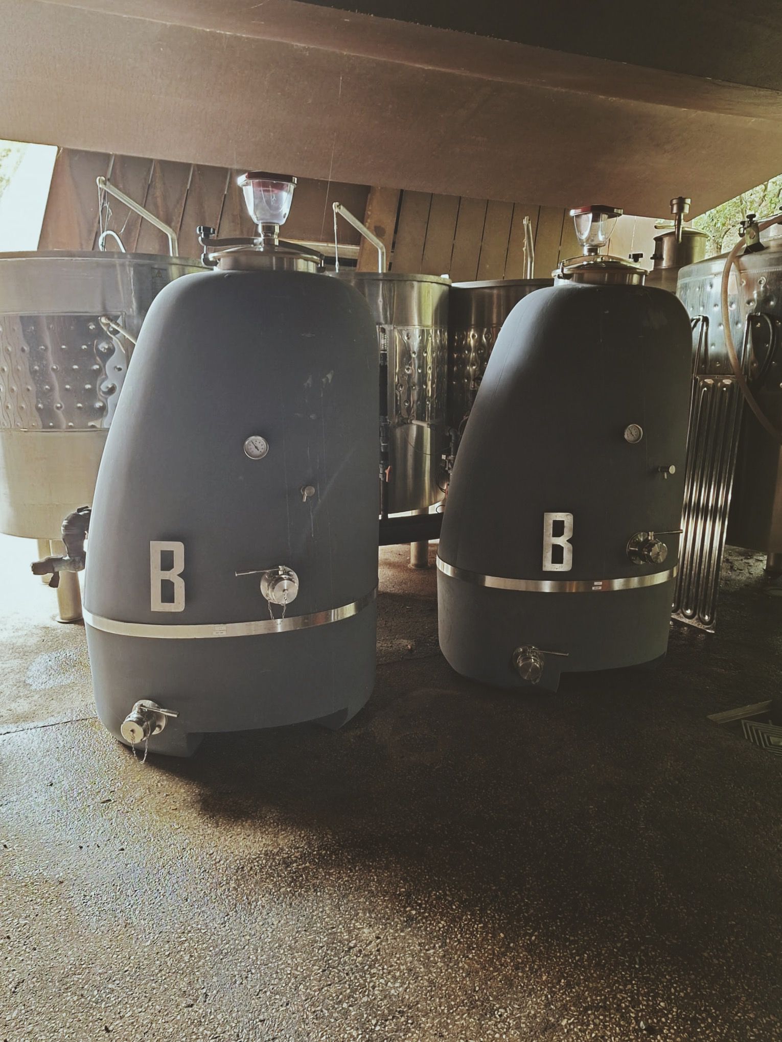 WiseShape na Celler Brugarol