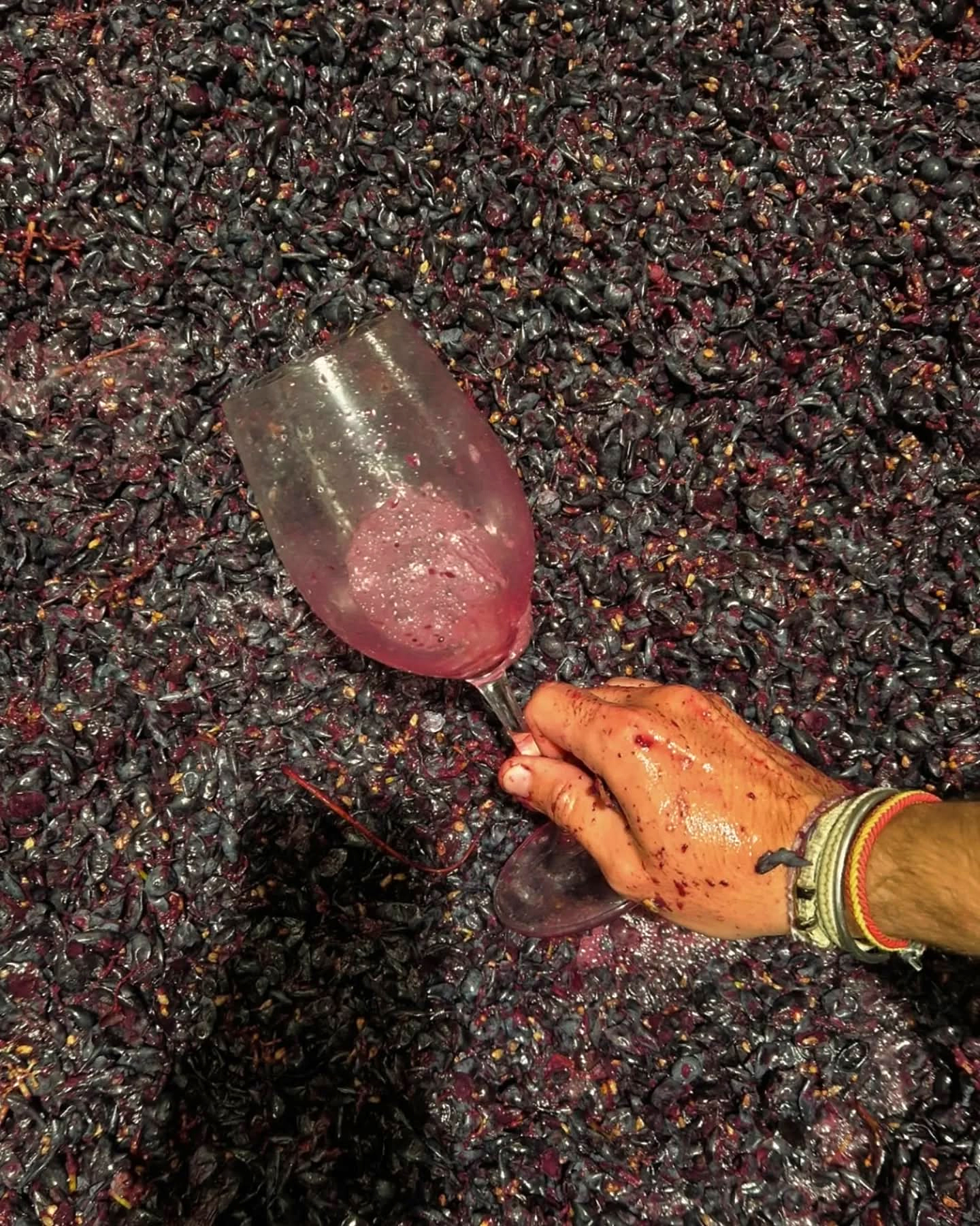 Kimbrel Wines | Foto: Kimbrel