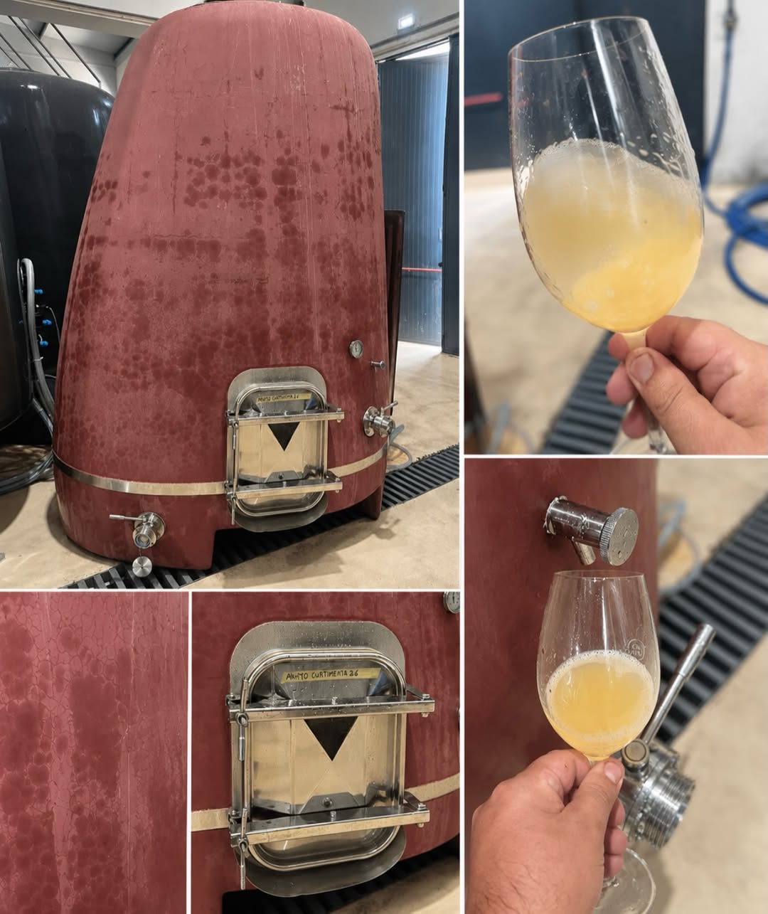 Vinhos de mínima intervenção: a Conceito usa WiseShape para criar vinhos únicos